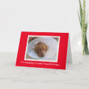 Search for cone christmas cards Dog