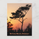 Search for bethany postcards Delaware