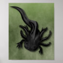 Search for axolotl posters Amphibian