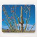 Search for saguaro mouse mats Bloom