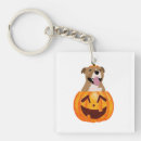 Search for cute pitbull key rings Funny