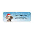 Search for weimaraner return address labels Puppy