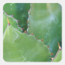 Search for sonora stickers Plant