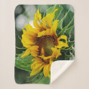 Search for sunflower blankets Cheerful