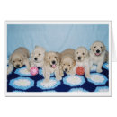 Search for dog note photography Puppies
