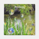 Search for ecological magnets Environment