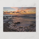 Search for cayman islands postcards Nature