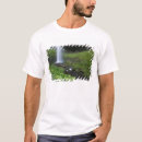 Search for klasse tshirts Moss