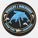 Search for stop whaling Whales