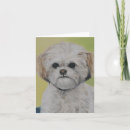 Search for shihtzu cards Puppy