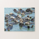 Search for sea otter puzzles Wildlife