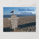 Search for cove postcards Paradise