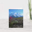 Search for mt rainier cards Meadow