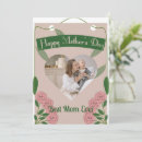 Search for pink mothers day cards Roses