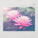 Search for buddhist postcards Flower