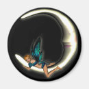 Search for luna magnets Fairy