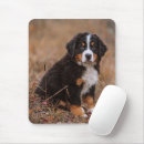 Search for bernese mountain dog mouse mats Animal
