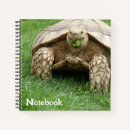 Search for tortoise notebooks Cute