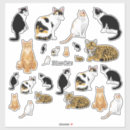 Search for black white tiger stickers Feline