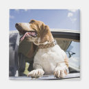 Search for dog car magnets Outdoors