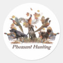 Search for pheasant stickers Nature