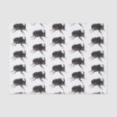 Search for beetle tissue paper Bug