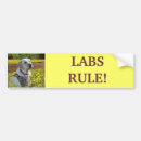 Search for labrador bumper stickers Labs