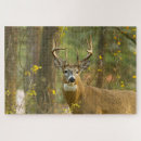 Search for whitetail deer puzzles Wildlife