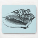 Search for translucent mouse mats Nature