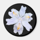 Search for white iris magnets Flower