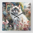 Search for ragdoll cat art Kitty