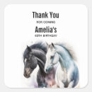 Search for black and white horse stickers Equestrian