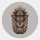 Search for earth science stickers Paleontology