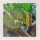 Search for snake puzzles Green