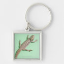 Search for bearded dragon accessories Animal