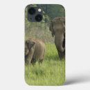 Search for three animals ipad cases Environment