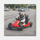Search for racers magnets Funny
