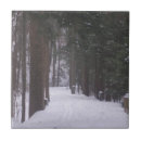 Search for evergreen tree tiles Snow
