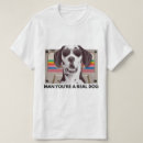 Search for dog meme Quote