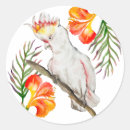 Search for cockatoo stickers Funny