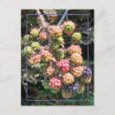 Search for purple green postcards Blue