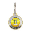 Search for elements pet supplies Dogs