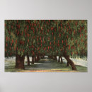 Search for pepper tree postcards Lantern