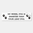 Search for lead bumper stickers Humour