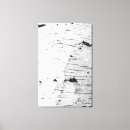 Search for birch tree canvas prints White