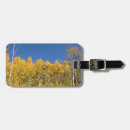 Search for deciduous forest accessories Aspen