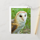 Search for owl blank cards Birds of prey