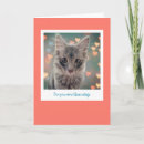 Search for kitty love cards Heart