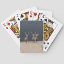 Search for hunting playing cards Antlers