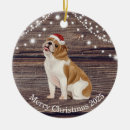 Search for english bulldog christmas decor Lights